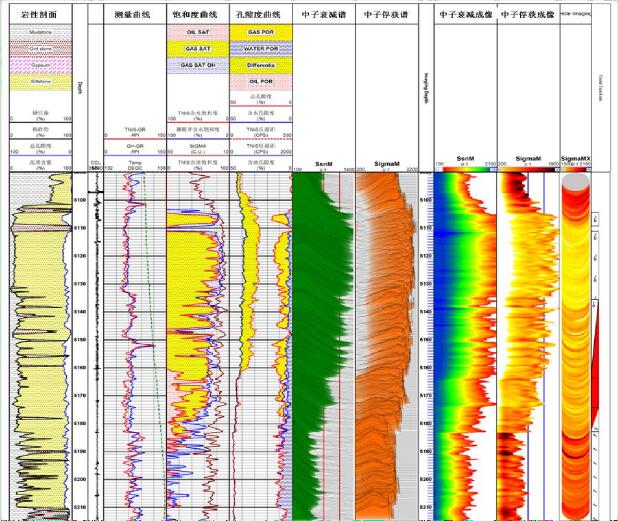 热中子成像测井技术（TNIS）